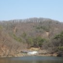 대산면911 이미지