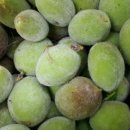 청운제2농장 이미지