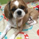 주공아파트2단지 이미지