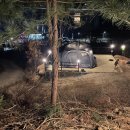 약수동산 이미지