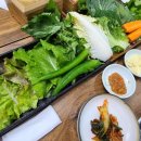 고향쌈밥 네이버블로그