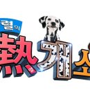 쉴틈올레 이미지