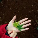 대명농장2 이미지