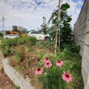 일동주유소 이미지