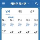 7월 2일 양평 일기예보!(7.1일 오후 6시 강수량 많게 발표). 이미지