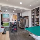 이누아이 이미지