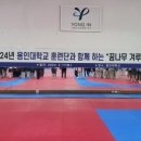 용인대블랙벨트센터 이미지