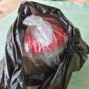 곤드레전 막걸리 정선 민둥산 애견동반 맛집 거북이쉼터