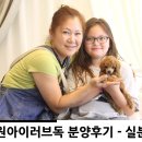 강아지분양후기 / 실제강아지분양후기 행복을 분양받는 곳! :) -