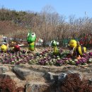 01-20 동구 Daum카페