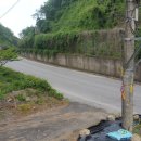 복내택시 이미지