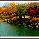 관촌약국 이미지