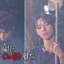하우스홀릭