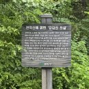 낙성대 3층석탑 | 우중산행, 관악산 하산