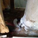 누수오케이수도설비 이미지