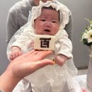 오복떡집 | 성수 오복떡집 티라미수설기 앙버터모나카 백일떡 가격 맛 내돈내산 후기