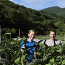 조계환농장 이미지