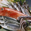 제주항구 이미지