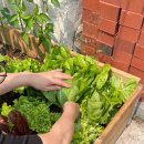 태평한 대평 | 구례 한옥독채펜션 태평한대평 찐만족 찐후기 레고