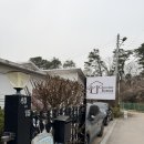 파주 강아지 동반이 가능한 씨포레스트카페 내돈내산후기