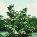 동양농장 이미지