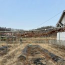 재욱농장 이미지