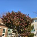 쌍봉도서관 주차장 이미지