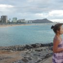 비치파크 이미지