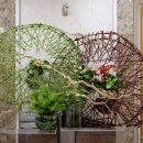 파크 블러썸 이미지