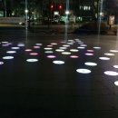 시청앞 가로수길 이미지