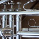 (1:1레슨)첼로 개인레슨(30분) 이미지