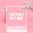 모리아공인중개사사무소 이미지