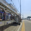 선희네손칼국수 이미지
