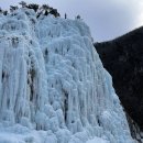 주왕산 한우농장 | 청송얼음골 맛집 | 포항연일읍 맛집 삼겹살 청송미나리 안계미나리농장