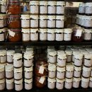 아보카(AVOCA) 이미지