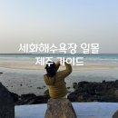 소성리 주택가 공중화장실 | 제주 세화해수욕장 일몰 시간 물때 맞춰 방문한 동쪽 노을 산책