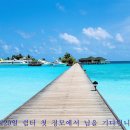 시글 이미지