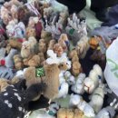 동탄지성로 1L(5->6) | 5박 6일 2월 겨울 몽골 투어 여행 비용 준비물 기념품 추천