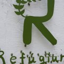 레푸기움 | 부산하면 커피 아입니까 (부산 광안리카페 레푸기움/refugium)