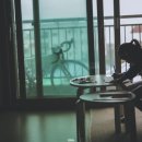 다복민박 이미지