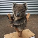 옥상파티 이미지