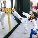 용인대 청목 mta 태권도 이미지