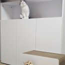 마이아지트 | 금봉이네 최애템 등극! 디스이즈 마이펫 대형 상자 하우스 후기 😻📦