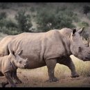 린뷰티크호텔 이미지