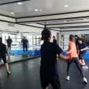 대성킴복싱클럽 이미지