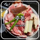 (주) 경주현대상용서비스 | 경주 봉황대 삼겹살 맛집 주돈 새벽까지 영업 노동동 고기집 추천