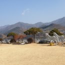 파이너스베뉴 Daum카페