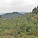 밤재 농장 이미지