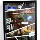 굿스토리몰 | 홍대방탈출 미친몰입력 더챕터 방탈출 쿠키 꿀잼후기