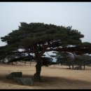 용신농산 | 낙동정맥 12차12구간(땅고개~운문령).